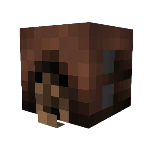 slaYer9015 Minecraft avatar head, 3D render