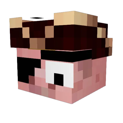 slaciiiiii Minecraft avatar head, 3D render