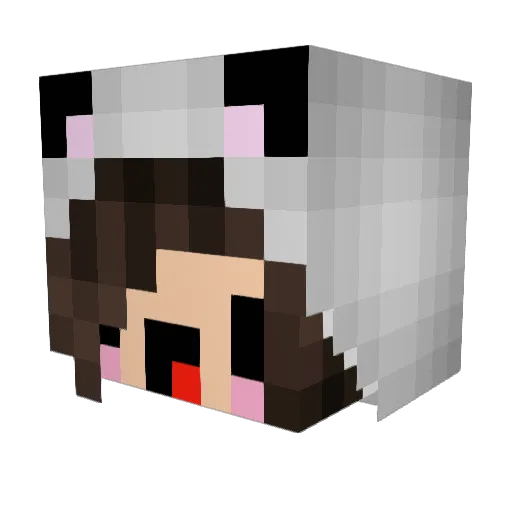 slagl0rd Minecraft avatar head, 3D render