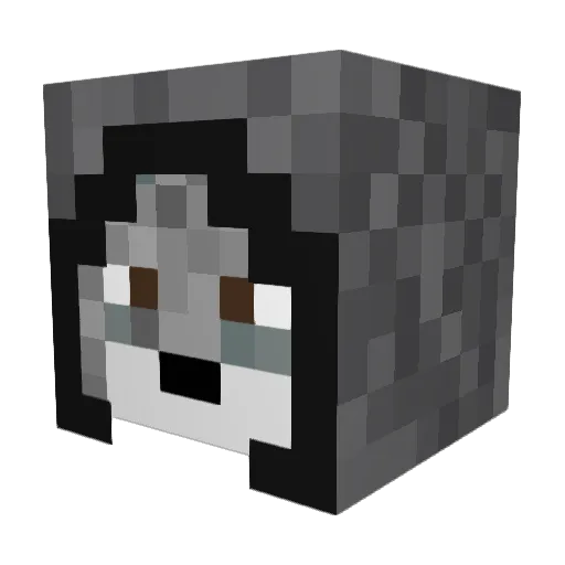 slaky69 Minecraft avatar head, 3D render