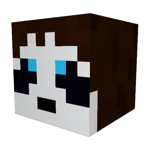 slammindoja Minecraft avatar head, 3D render