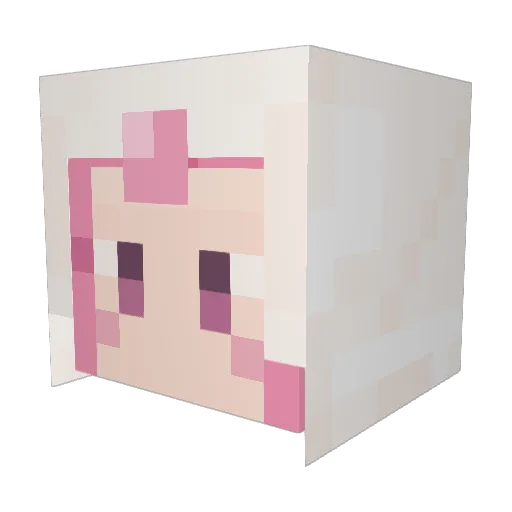 slamskrt_ Minecraft avatar head, 3D render