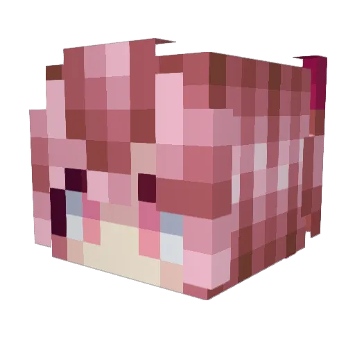 slapollo Minecraft avatar head, 3D render