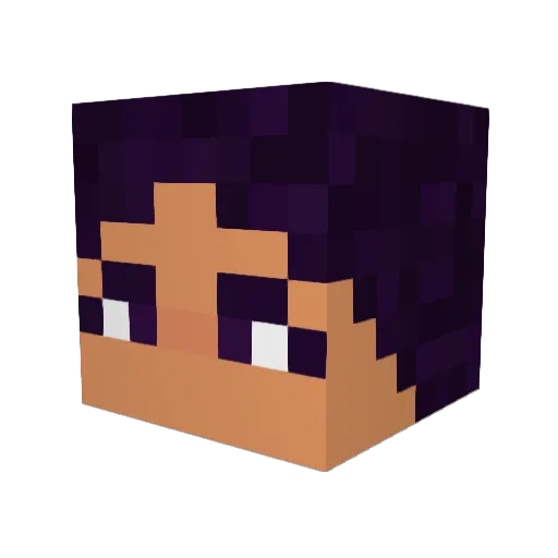 slappycuss Minecraft avatar head, 3D render