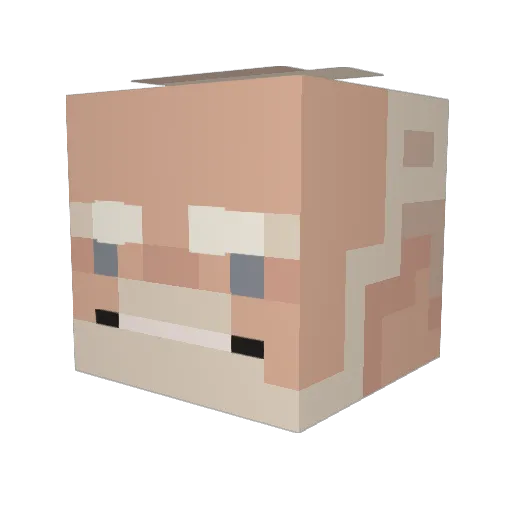 slappyduck Minecraft avatar head, 3D render
