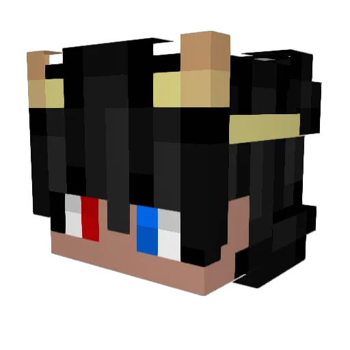slasher_gamer19 Minecraft avatar head, 3D render
