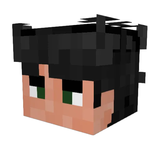 slashg1ve Minecraft avatar head, 3D render
