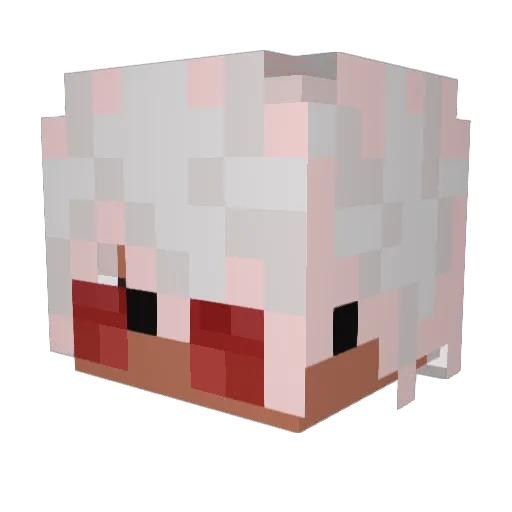 slashkaid Minecraft avatar head, 3D render