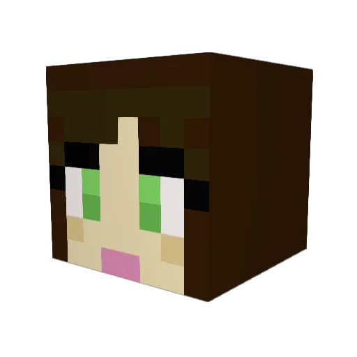 slashnaricssist Minecraft avatar head, 3D render