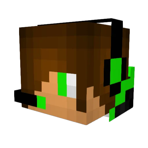 slashninja2004 Minecraft avatar head, 3D render