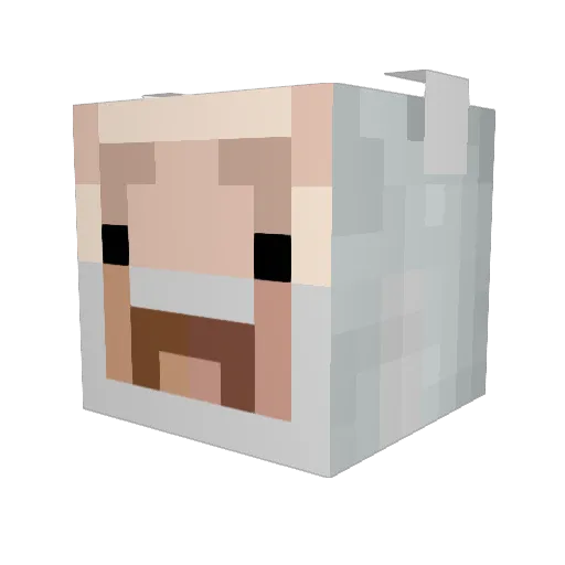 slater_Wilson Minecraft avatar head, 3D render