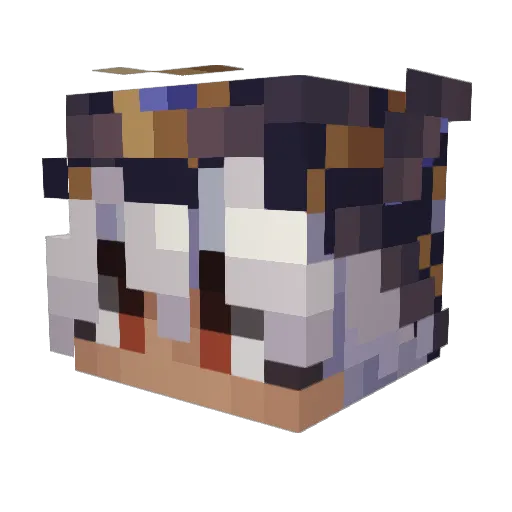 slavak1do Minecraft avatar head, 3D render