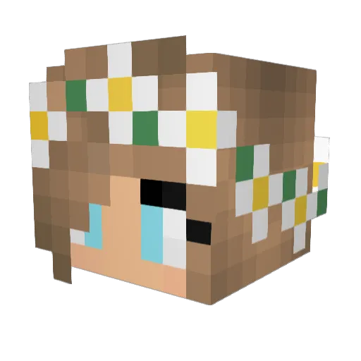 slave1234 Minecraft avatar head, 3D render