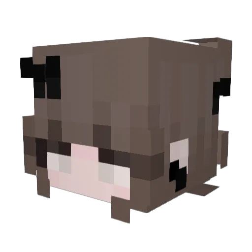 slaxypoo Minecraft avatar head, 3D render