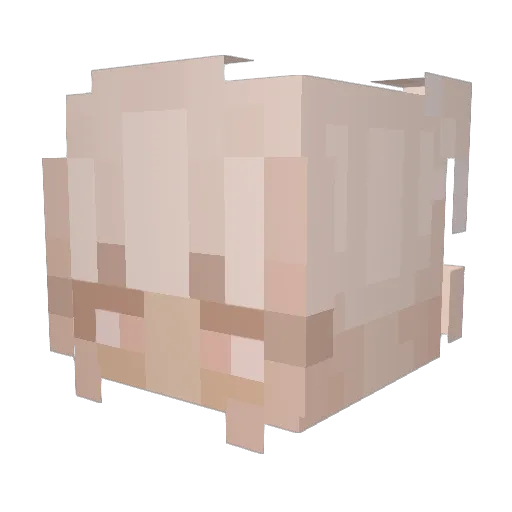 slay1D Minecraft avatar head, 3D render