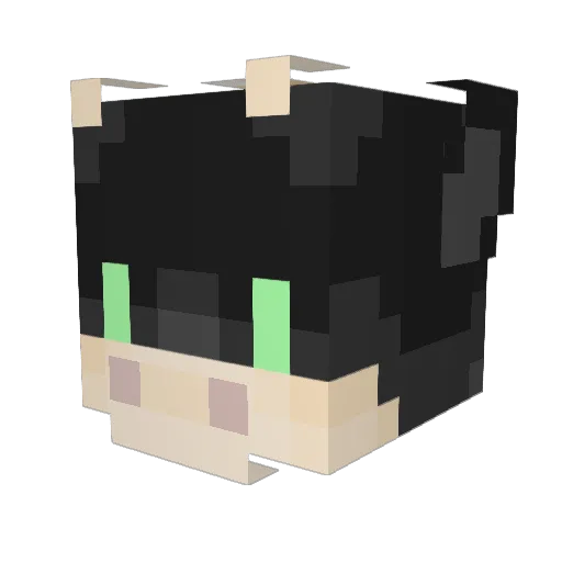 slayer0987 Minecraft avatar head, 3D render
