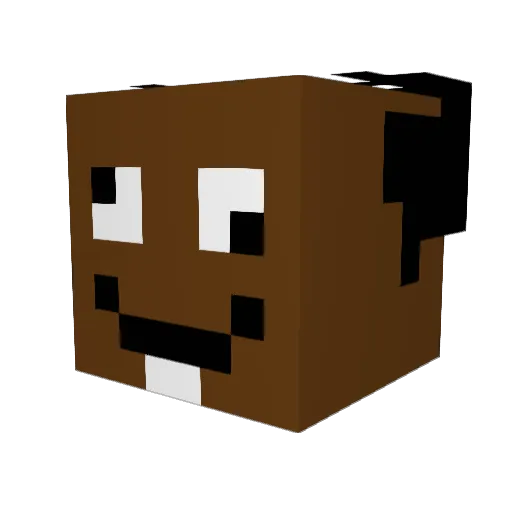 slayer12404 Minecraft avatar head, 3D render