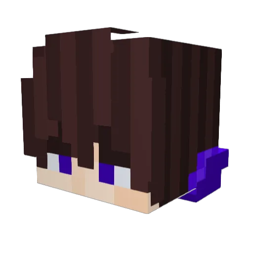 slayer17762 Minecraft avatar head, 3D render