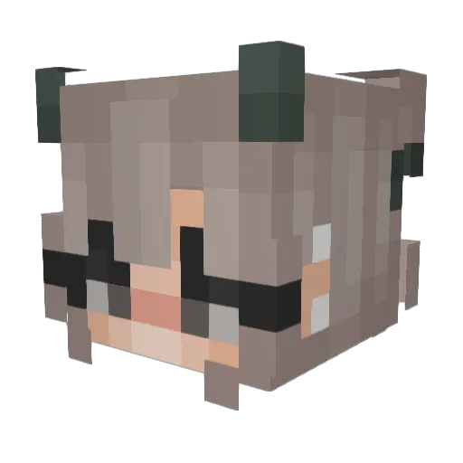 slayer49j Minecraft avatar head, 3D render