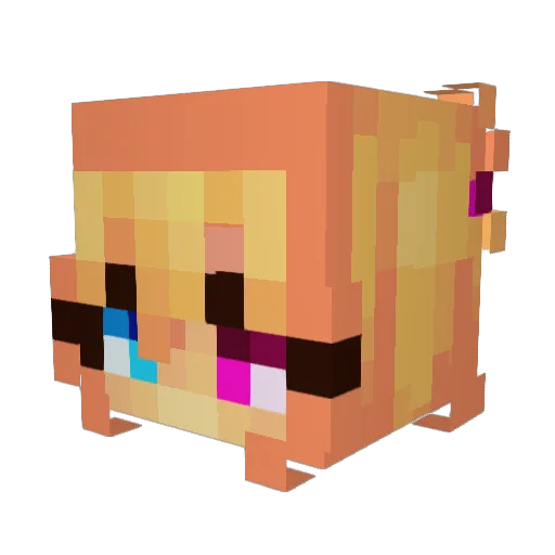 slaymer69 Minecraft avatar head, 3D render