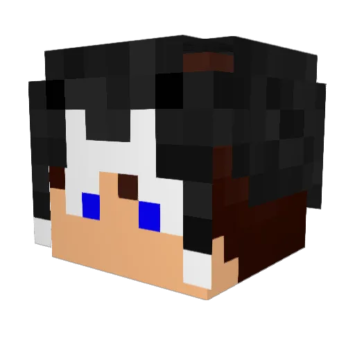slc123 Minecraft avatar head, 3D render