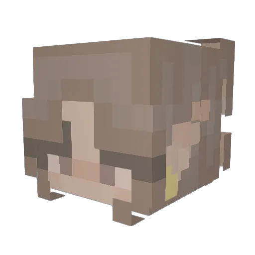 slccp Minecraft avatar head, 3D render