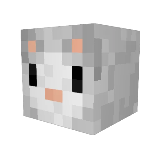 sleebyboy Minecraft avatar head, 3D render