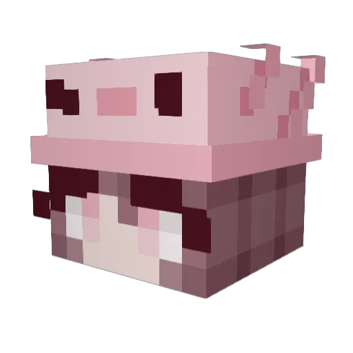 sleebygrey Minecraft avatar head, 3D render