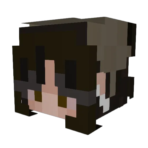 sleeh Minecraft avatar head, 3D render