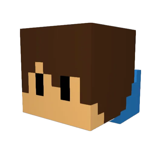 sleekNinja2 Minecraft avatar head, 3D render