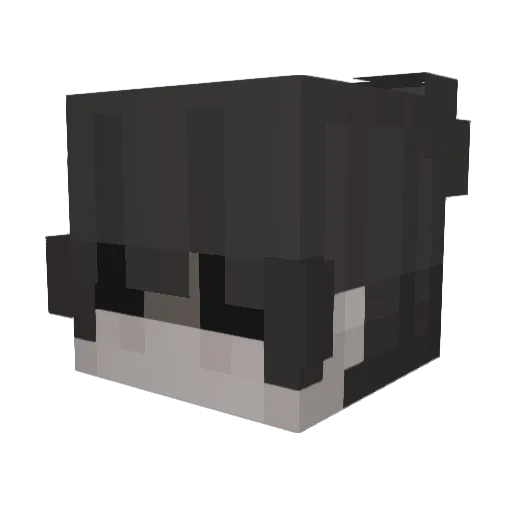 sleepaddictky Minecraft avatar head, 3D render