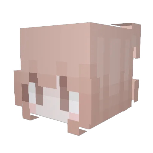 sleephy Minecraft avatar head, 3D render