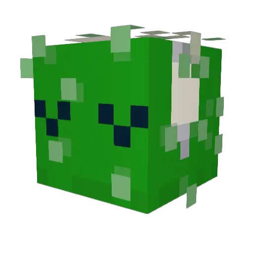 sleepicacti Minecraft avatar head, 3D render