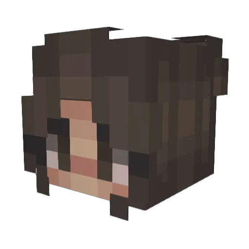 sleepidawn Minecraft avatar head, 3D render