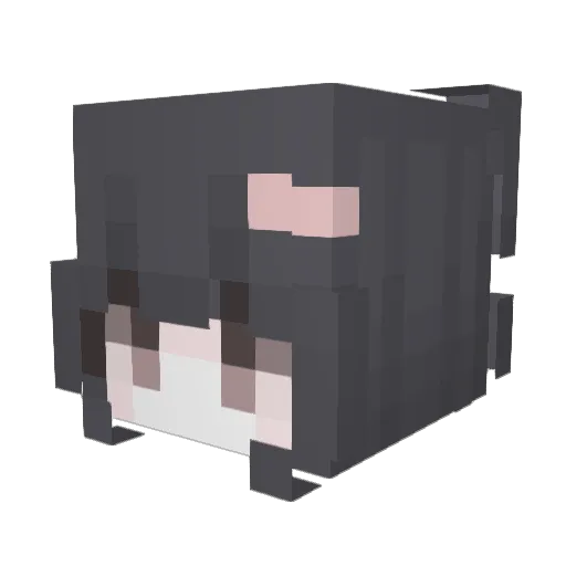 sleepiebunie Minecraft avatar head, 3D render