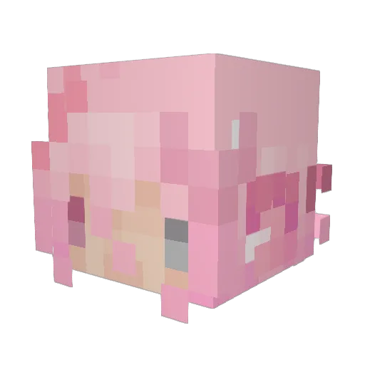sleepiette Minecraft avatar head, 3D render