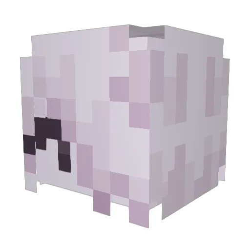 sleeping_ashes Minecraft avatar head, 3D render