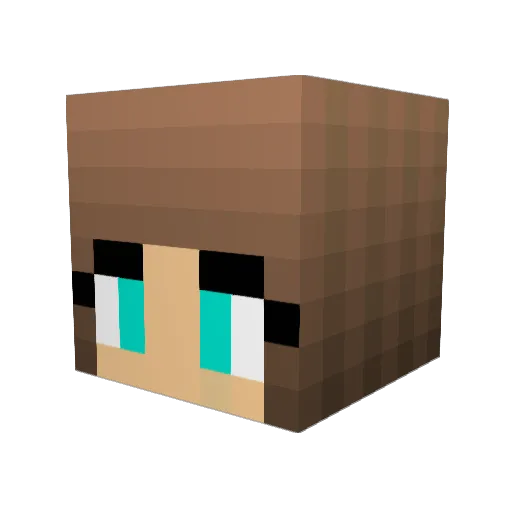 sleepingfrodo Minecraft avatar head, 3D render