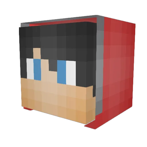 sleepinhobo Minecraft avatar head, 3D render