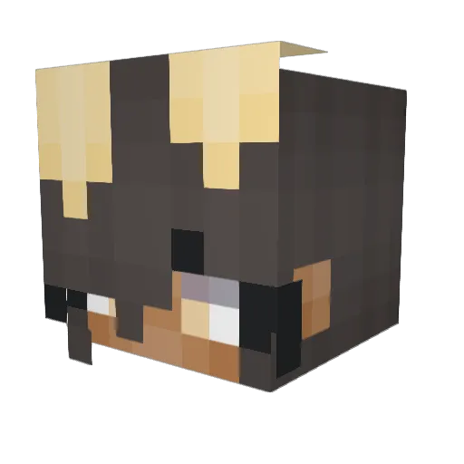 sleepinqx Minecraft avatar head, 3D render
