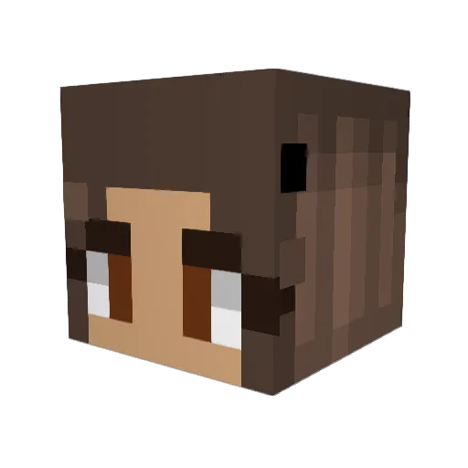 sleepisaluxry Minecraft avatar head, 3D render