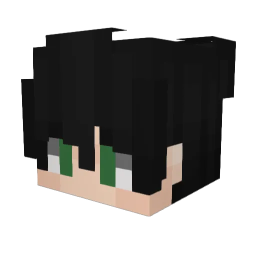 sleeplifeawayy Minecraft avatar head, 3D render
