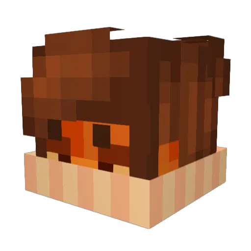 sleepslap1 Minecraft avatar head, 3D render