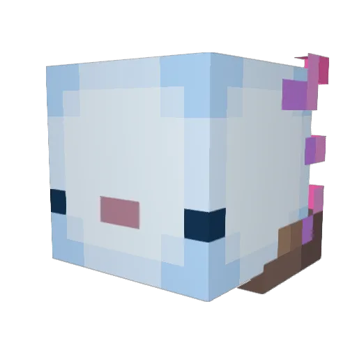 sleepsolotl Minecraft avatar head, 3D render