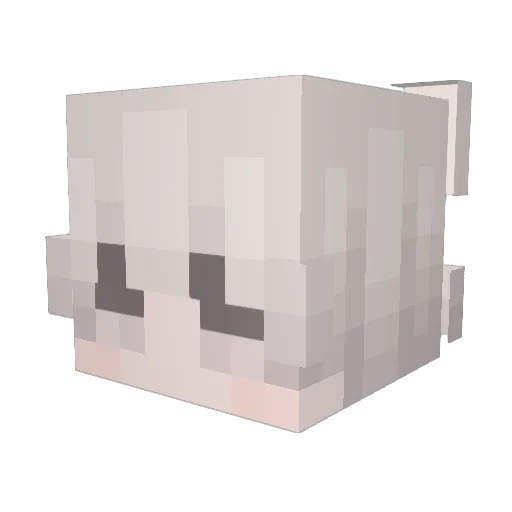 sleeptonight Minecraft avatar head, 3D render