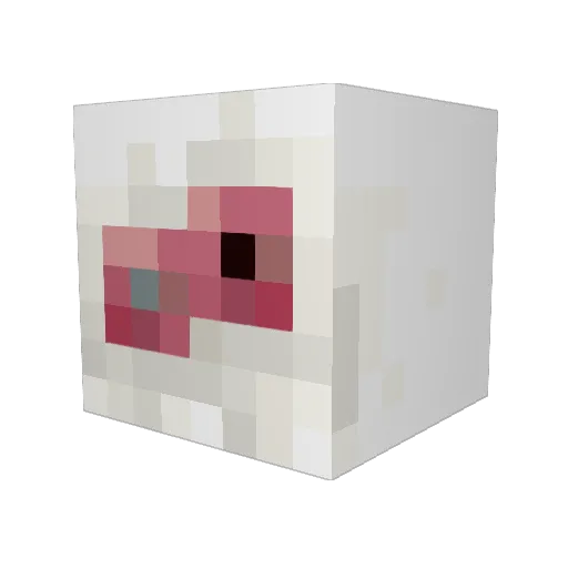 sleepwalker228 Minecraft avatar head, 3D render