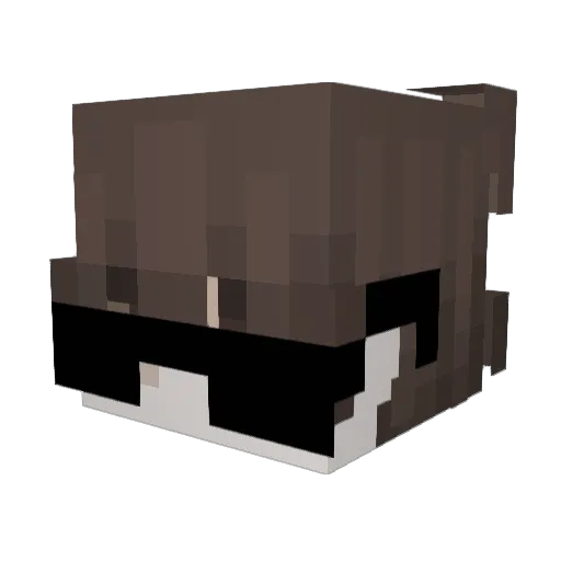 sleepy0764 Minecraft avatar head, 3D render