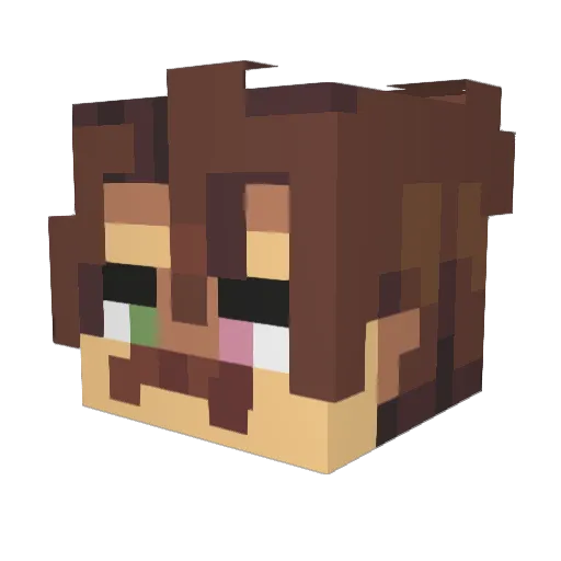 sleepyRelaxo Minecraft avatar head, 3D render