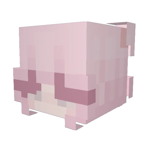 sleepyadyyy Minecraft avatar head, 3D render
