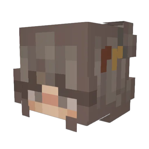 sleepyalliee Minecraft avatar head, 3D render